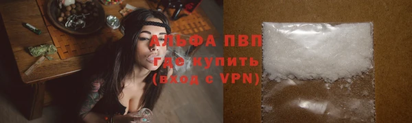 ПСИЛОЦИБИНОВЫЕ ГРИБЫ Бородино