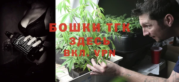 ПСИЛОЦИБИНОВЫЕ ГРИБЫ Бородино